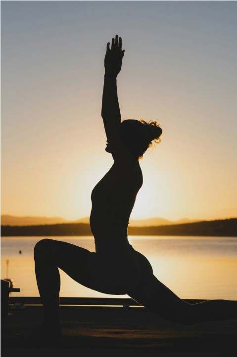 Vinyasa session